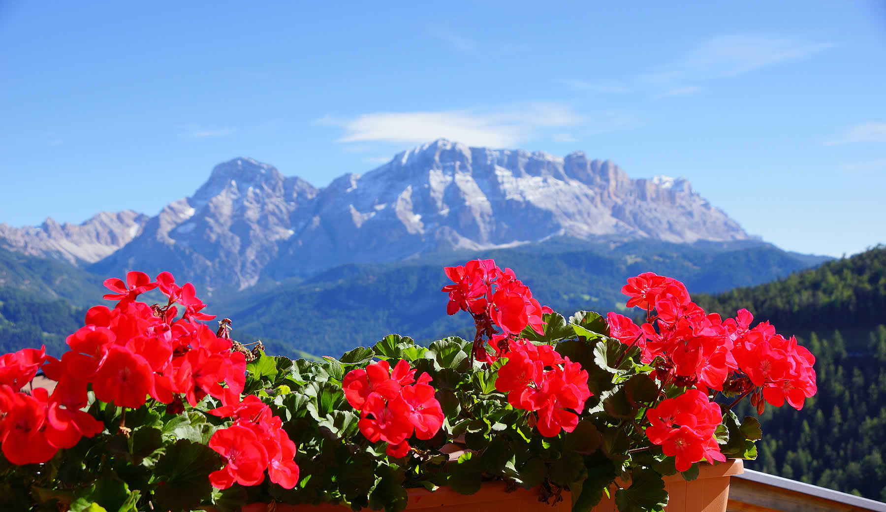 Panorama view on the Sasso Croce